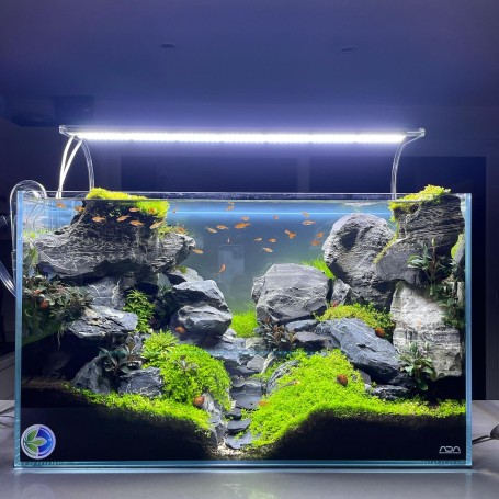 Décorations D'aquariums - Livraison Gratuite Pour Les Nouveaux