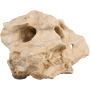 Sera Rock Hole Stone Pierres prix/pièce