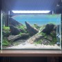 Réaménagement d'aquarium - Main d'oeuvre offerte avec "My Scape In Safe"