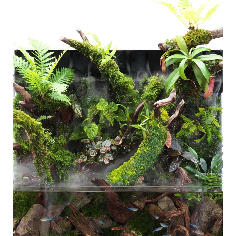 ADA DOOA　NEO GLASS TERRA H36 DOOA NEO GLASS TERRA (H36cm) – Aqua Forest Aquarium