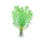 TROPICA PLANTS - Myriophyllum sp. 'Guyana' - 1-2 Grow