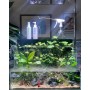 REALISATION DE VOTRE AQUASCAPE (gratuit avec My Scape In Safe*)