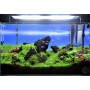 REALISATION DE VOTRE AQUASCAPE (gratuit avec My Scape In Safe*)