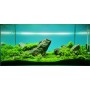 REALISATION DE VOTRE AQUASCAPE (gratuit avec My Scape In Safe*)