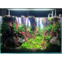 REALISATION DE VOTRE AQUASCAPE (gratuit avec My Scape In Safe*)