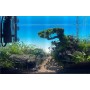 REALISATION DE VOTRE AQUASCAPE (gratuit avec My Scape In Safe*)