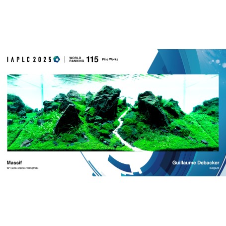 REALISATION DE VOTRE AQUASCAPE (gratuit avec My Scape In Safe*)