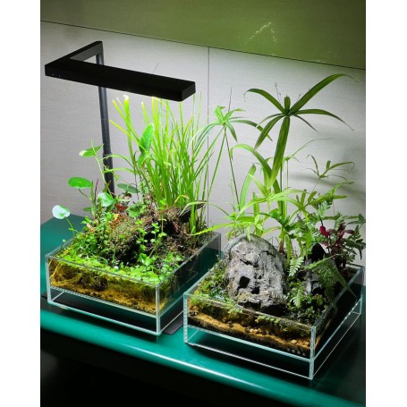 Installation et kit complet Dooa