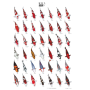 POSTER KOI NR.1 PLASTIFIE 60X98 CM