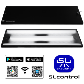 SKYLIGHT PARMASTER F